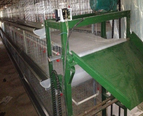 蛋鸡装备传送带式清粪机常见的这些问题你都知道吗？？？