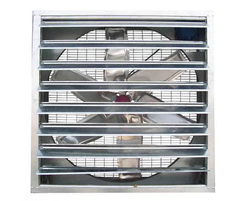 怎样确保蛋鸡装备有用透风？？？？