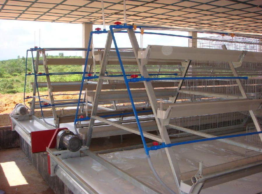 磨练全自动养鸡装备的清静有什么需要注重的事项吗？？？？