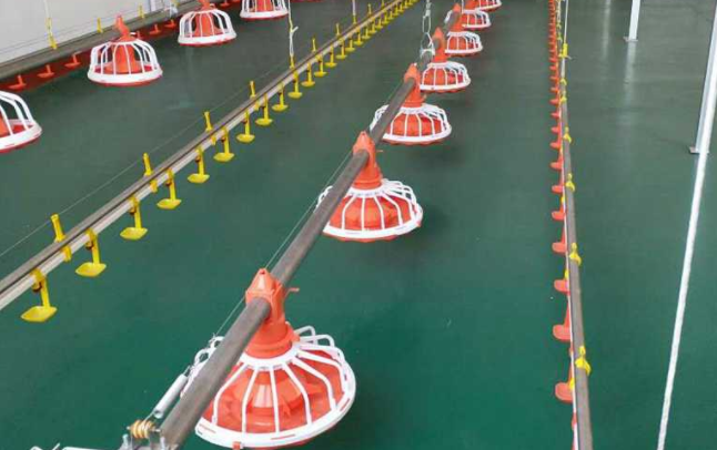 全自动养鸡装备水线的这两个问题你都知道吗？？？？？？