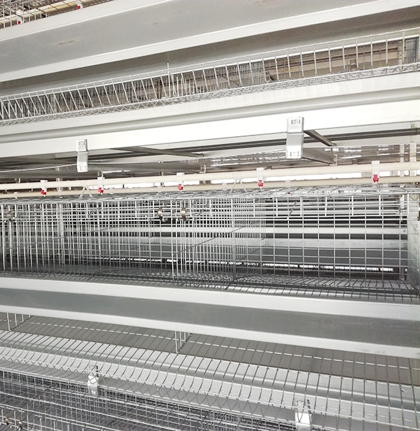 规；；；；；；唐返凹Τ〔畋鹆凹ψ氨赣湃醯闫饰 